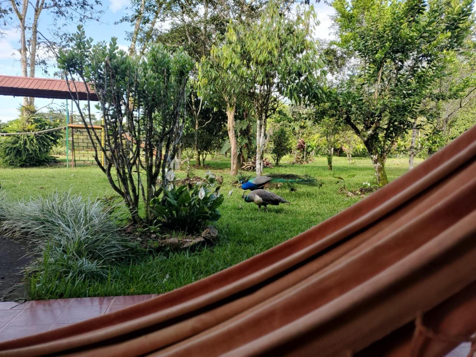 Hotel La Quinta De Andres San Isidro  Esterno foto
